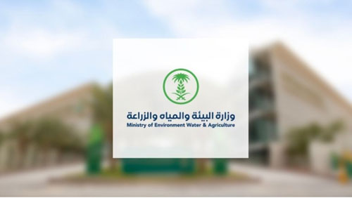 البيئة: لا صحة لمعلومات فترة التحريم للماشية وتسببها في أمراض بشرية 