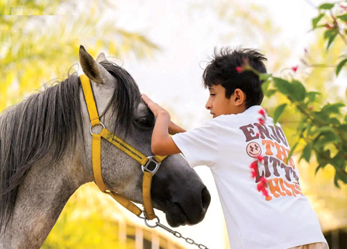 الخيل الأصيلة تجذب أهالي وزوار الباحة 