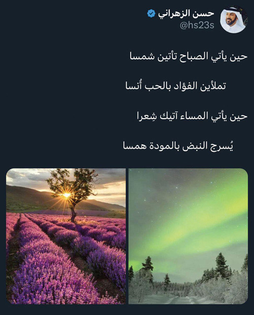 تغريدة الأسبوع.. 